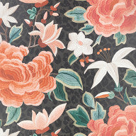 Lavinia Matte, Slate