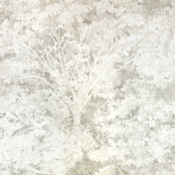 Sikora Quartzite