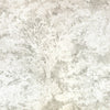 Shiri, Shell
