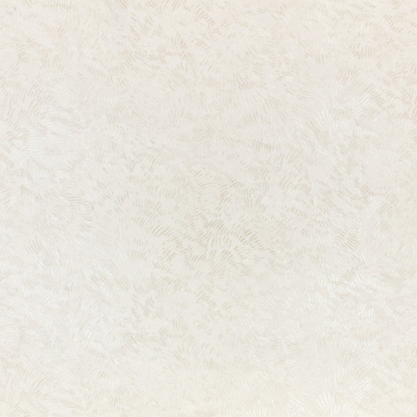 Shiri Pearl