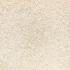 Shiri, Shell