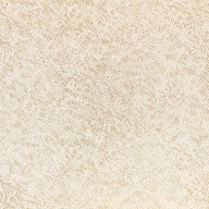 Shiri, Shell