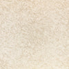 Shiri, Shell