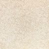 Shiri, Shell