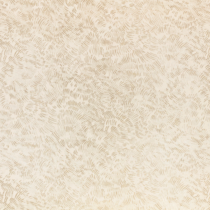 Shiri, Shell