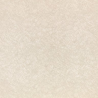 Shiri, Shell