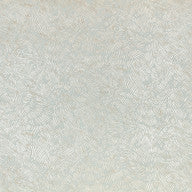 Shiri, Shell