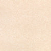 Shiri, Shell