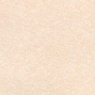 Shiri, Shell