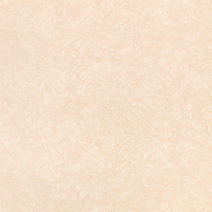 Shiri Wild, Apricot