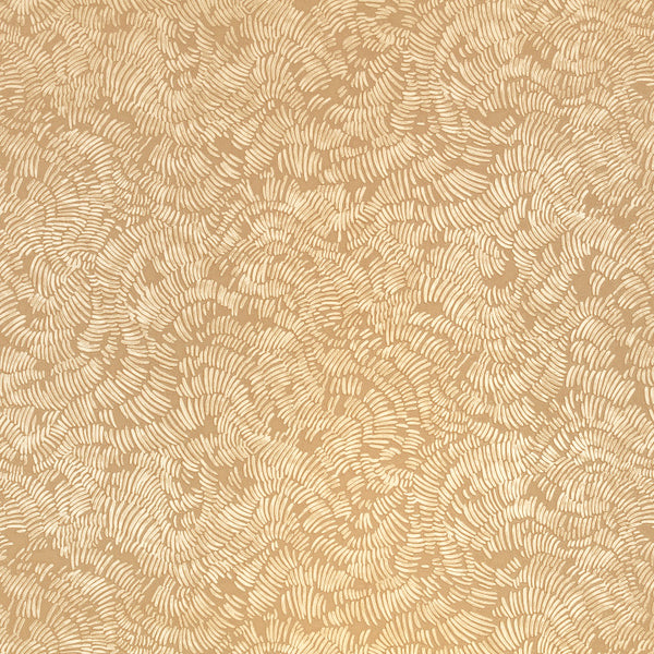 Shiri Copper