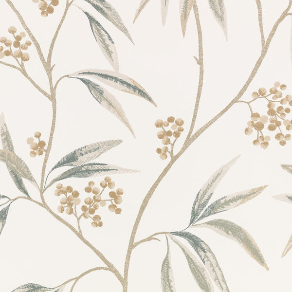 Mima - Tamarind Wallcovering | Romo