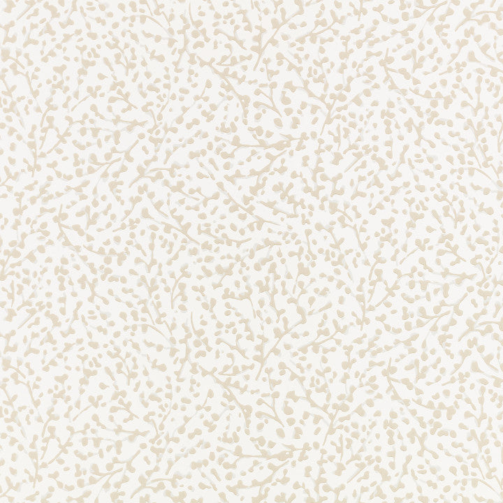 Eleni, Almond