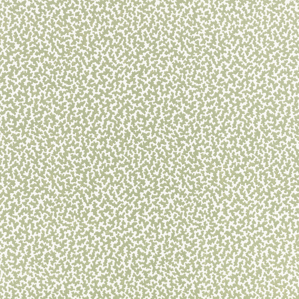 Junie Wallpaper Aloe | Romo Europe
