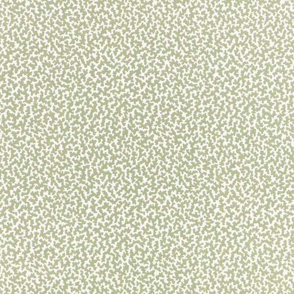 Junie Wallpaper Aloe | Romo Europe