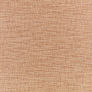 Nyla, Catkin