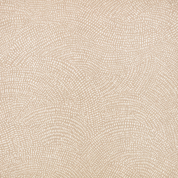 Nivu Beech