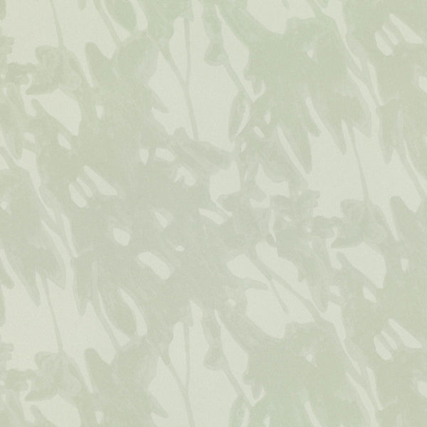 Sombra Marjoram