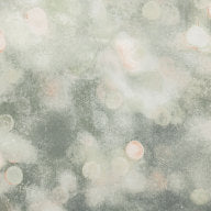 Bokeh, Tuscan