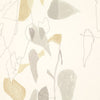Tabletop, Lichen