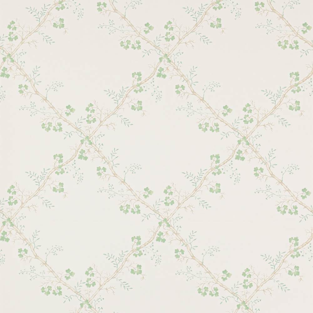 Trefoil Trellis Wallpaper  | Colefax and Fowler