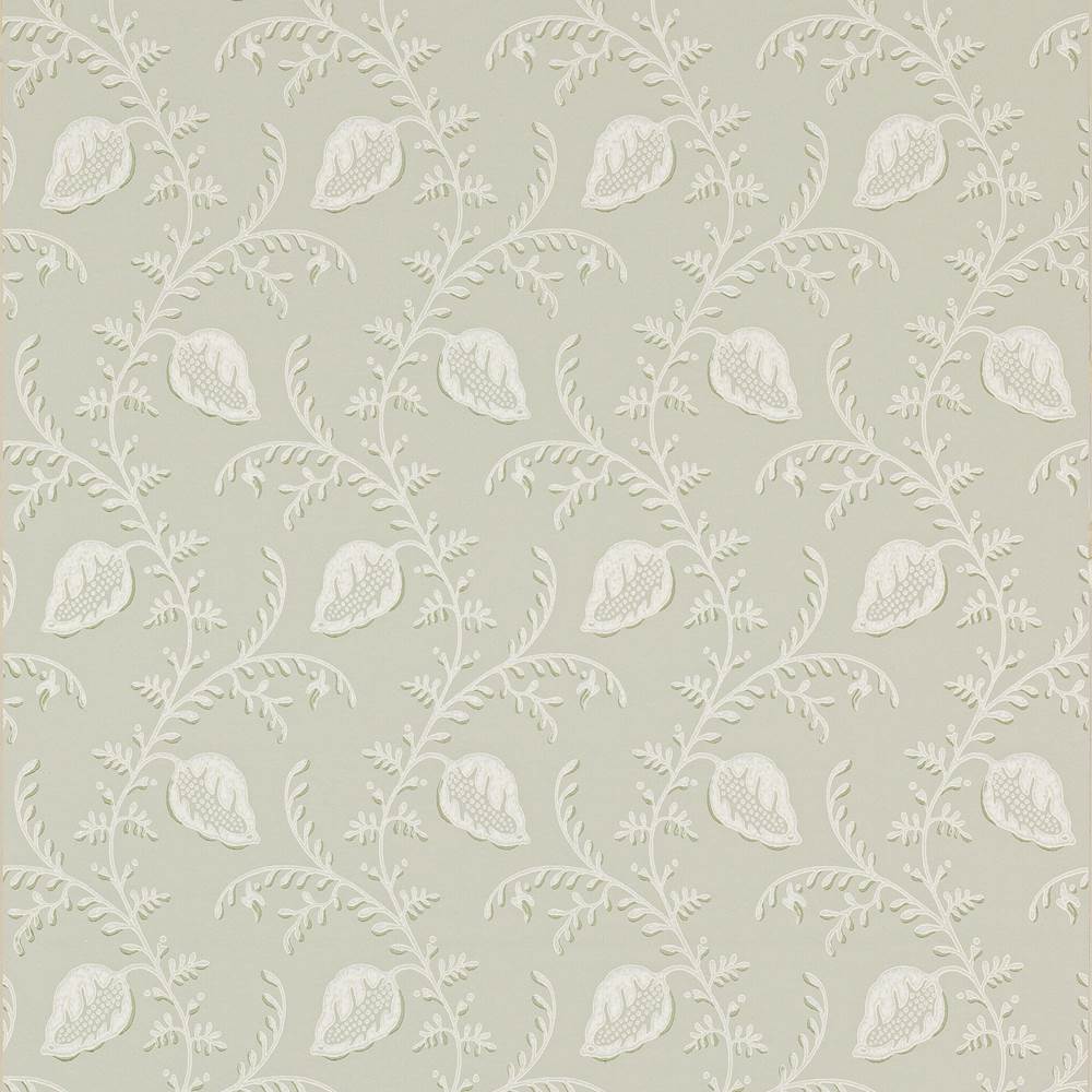 Felicity Wallpaper  | Colefax and Fowler