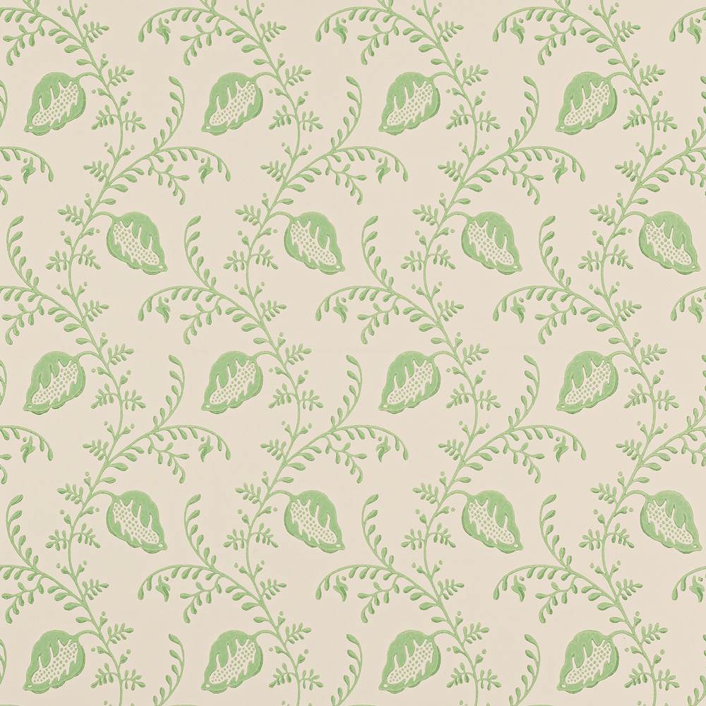 Felicity Wallpaper  | Colefax and Fowler
