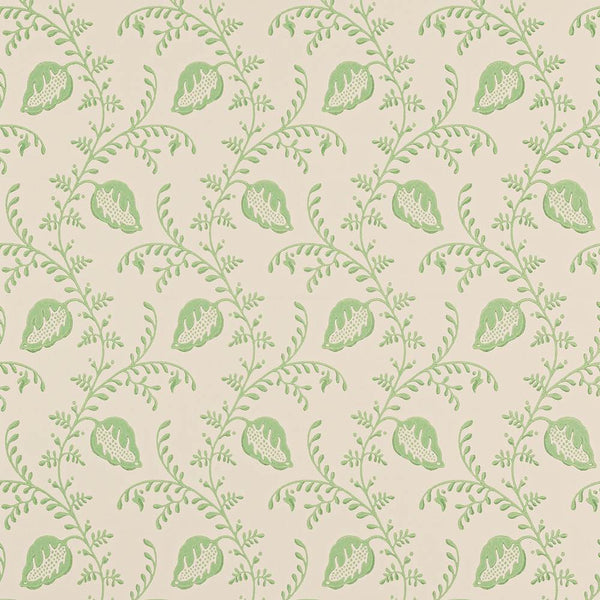 Felicity Wallpaper  | Colefax and Fowler
