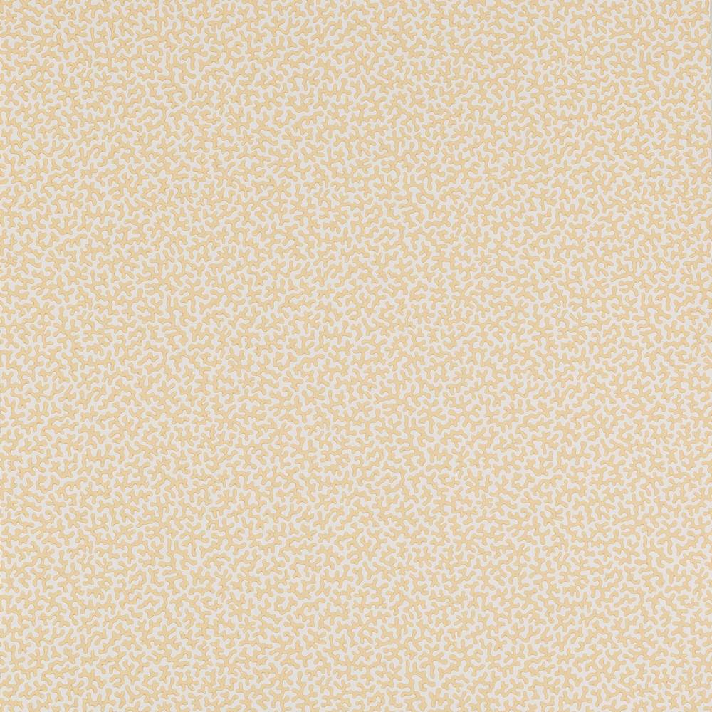 Wendle Wallpaper  | Colefax and Fowler