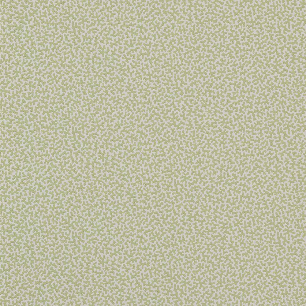 Wendle Wallpaper  | Colefax and Fowler