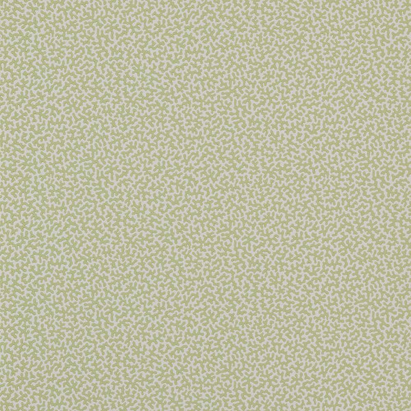 Wendle Wallpaper  | Colefax and Fowler