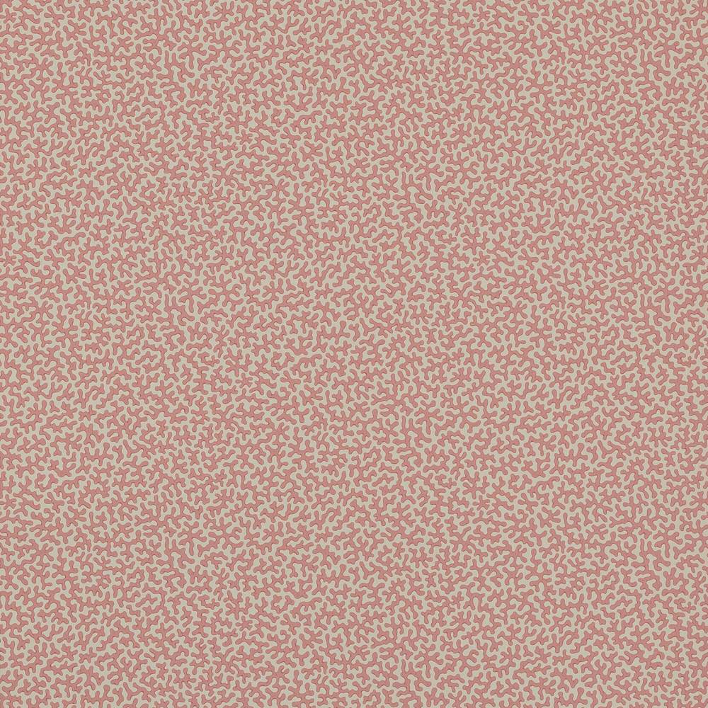 Wendle Wallpaper  | Colefax and Fowler