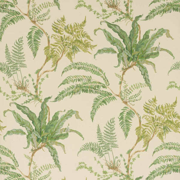 Woodfern Wallpaper  | Colefax and Fowler