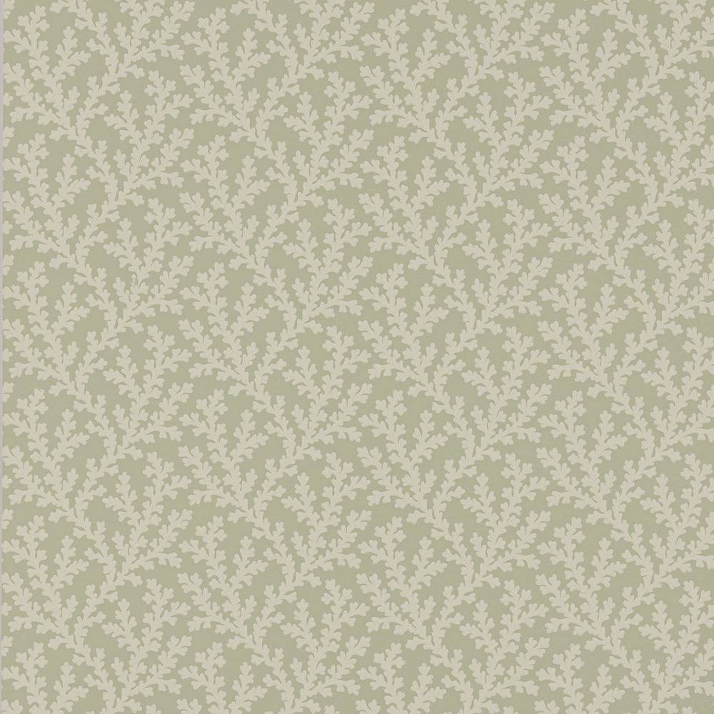 Sea Coral Wallpaper  | Colefax and Fowler