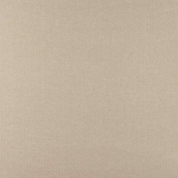 Hector Wallcovering Wallpaper  | Colefax and Fowler