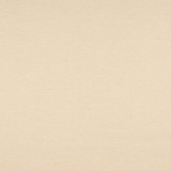 Hector Wallcovering Wallpaper  | Colefax and Fowler