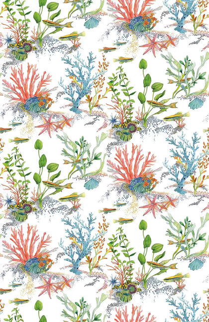 Coralline Under Water White | Osborne & Little Europe