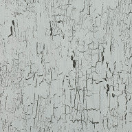 Antica, Glacier