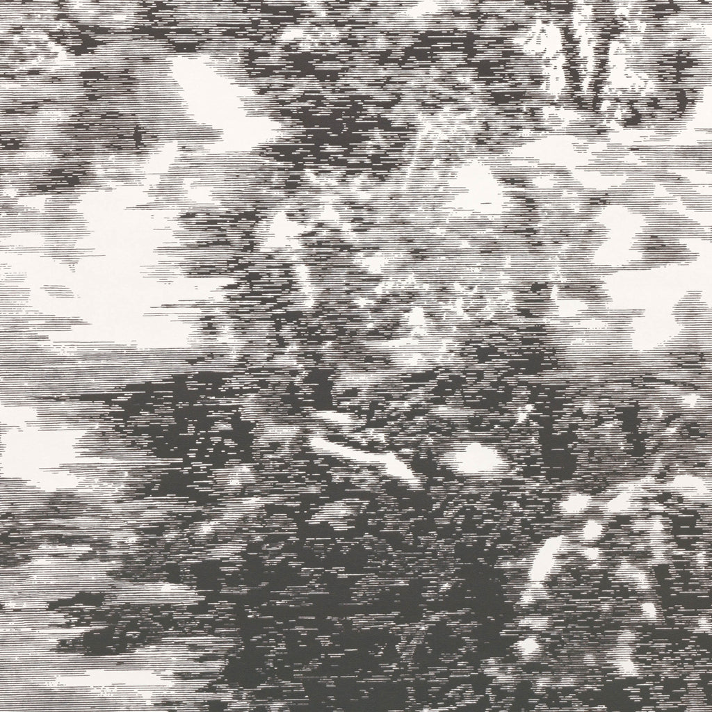 Mitoku Wallpaper Avocet | Romo Europe