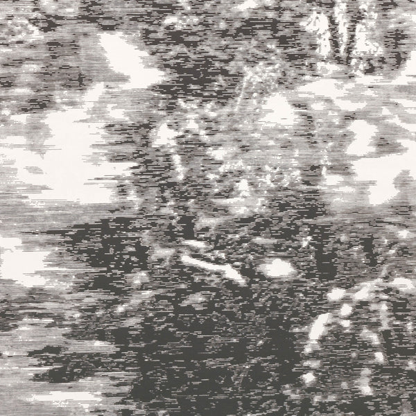 Mitoku Wallpaper Avocet | Romo Europe