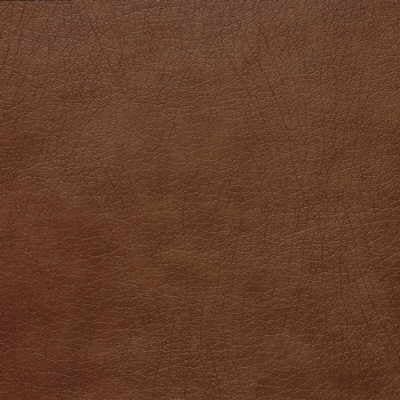 Samples and Purchasing available for Kravet Basics - Wayfield-24 Rust By Kravet Basics |  |Texture  Upholstery Vinyl/Faux Leather at Designer Wallcoverings and Fabrics