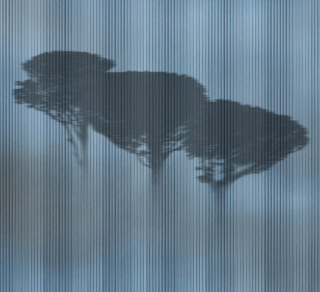 Blurry WDBL2002, Sample