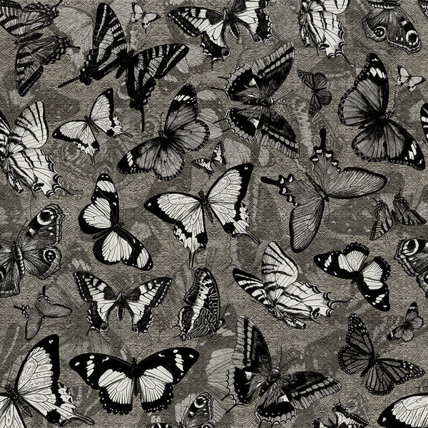 Catch Me WDCM0502, Sample Wallcoverings | Wall&decò