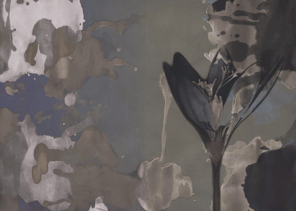 Delilah WDDE2001, Sample Wallcoverings | Wall&decò