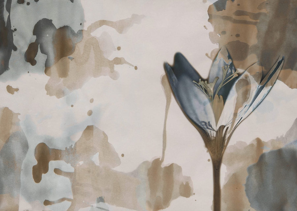 Delilah WDDE2002, Sample