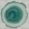 Tree of Life WDEE2101, Sample