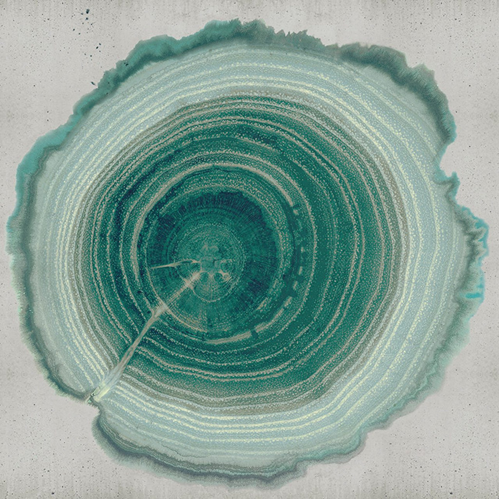 Tree of Life WDEE2101, Sample