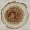 Tree of Life WDEE2102, Sample