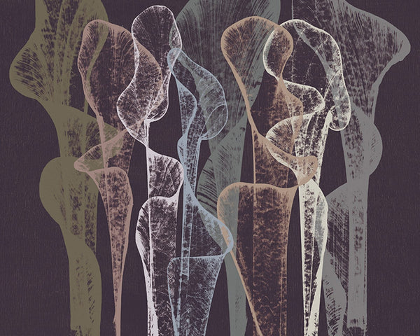 String Pull WDTR2102, Sample Wallcoverings | Wall&decò