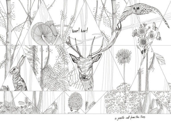 Woodland WDWO1502A, Sample Wallcoverings | Wall&decò